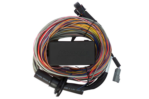 Haltech Elite 750 8ft Premium Universal Wire-In Harness Haltech