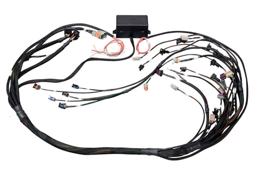 Haltech GM GEN III LS1/LS6/GEN IV LS2/LS3 (DBW Retrofit Ready) Elite 2500 Terminated Harness Haltech