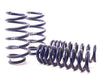 H&R 06-10 Dodge Charger RT/SE/SXT V6/V8 (2WD) Sport Spring (w/Nivomat Only) H&R