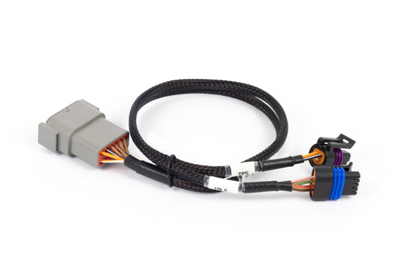 Haltech NEXUS Rebel LS Cable Throttle & IAC Sub-Harness (Plug-n-Play w/HT-186500) Haltech