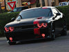 Oracle 0814 Dodge Challenger Dynamic Surface Mount Headlight/Fog Light Halo Kit COMBO  SEE WARRANTY ORACLE Lighting