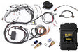 Haltech Elite 2500 Terminated Harness Kit Haltech