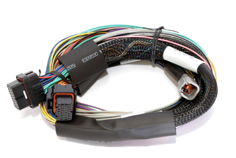 Haltech Elite 2500 8ft Basic Universal Wire-In Harness (Excl Relays or Fuses) Haltech