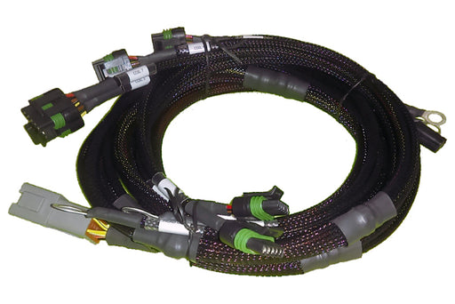 Haltech V8 BB/SB GM/Chrysler Hemi V8 8 Channel Individual High Output IGN-1A Inductive Coil Harness Haltech