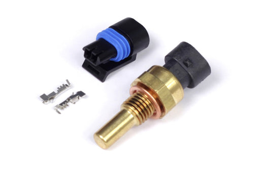 Haltech Coolant Temp Sensor M12 x 1.5 (Incl Delphi Plug & Pins) Haltech