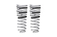 Eibach 14-21 Ram 2500 Diesel 4WD Pro-Truck Rear Springs Eibach