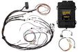 Haltech Elite 1500 Terminated Harness ECU Kit w/ Square EV1 Injector Connectors Haltech