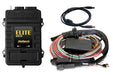 Haltech Elite 1500 16ft Premium Universal Wire-In Harness ECU Kit Haltech