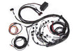 Haltech Ford Falcon BA/BF Barra 4.0 Elite 2500 Terminated Harness w/EV1 Injector Connectors Haltech