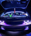 Oracle Engine Bay 5050 SMD Kit - RGB ColorSHIFT SEE WARRANTY ORACLE Lighting