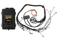 Haltech Elite 2500 Terminated Harness ECU Kit w/ EV1 Injector Connectors Haltech