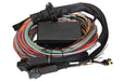 Haltech Elite 1500 8ft Premium Universal Wire-In Harness Haltech