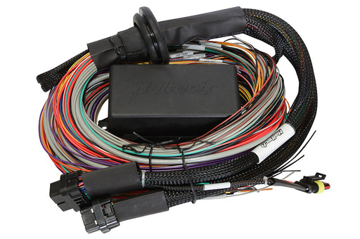 Haltech Elite 1500 8ft Premium Universal Wire-In Harness Haltech