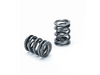 Supertech Honda H22A1/H22A4 Dual Valve Spring - Set of 16 Supertech