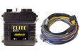 Haltech Elite 750 Basic Universal Wire-In Harness ECU Kit Haltech
