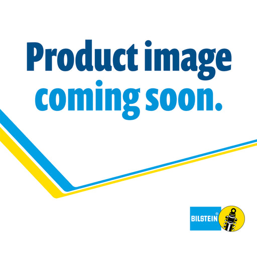 Bilstein B6 99-04/06-13 Ford F53 Steering Damper Bilstein