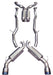 Injen 03-08 350Z Dual 60mm SS Cat-Back Exhaust w/ Built In Resonated X-Pipe Injen