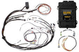 Haltech Elite 1500 Terminated Harness ECU Kit w/ Square EV1 Injector Connectors Haltech