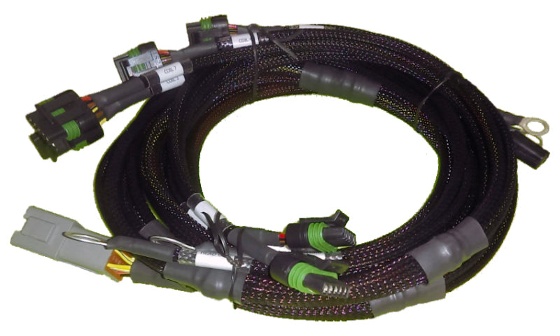 Haltech Big Block/Small Block Ford V8 8 Channel Individual High Output IGN-1A Inductive Coil Harness Haltech