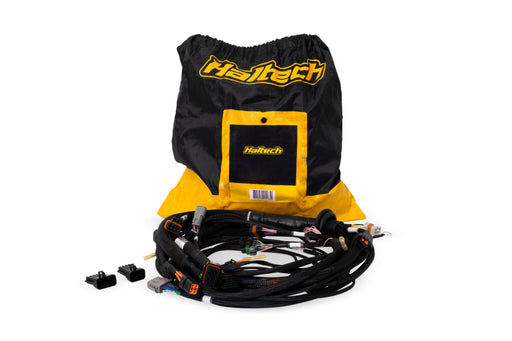 Haltech NEXUS Rebel LS Terminated Harness for ECU Haltech