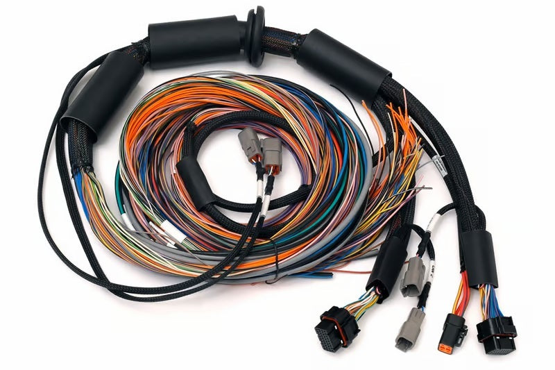 Haltech NEXUS R3 Universal Wire-In Harness - 2.5M (8ft) Haltech