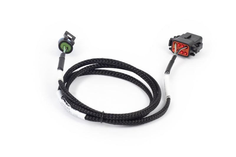 Haltech NEXUS Rebel LS T56 Transmission Harness (Plug-n-Play w/HT-186500) Haltech